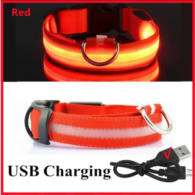 LED Light-Up Dog Collar – USB Rechargeable, Adjustable Safety Glow