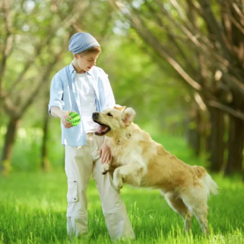 Interactive Chew & Treat Ball