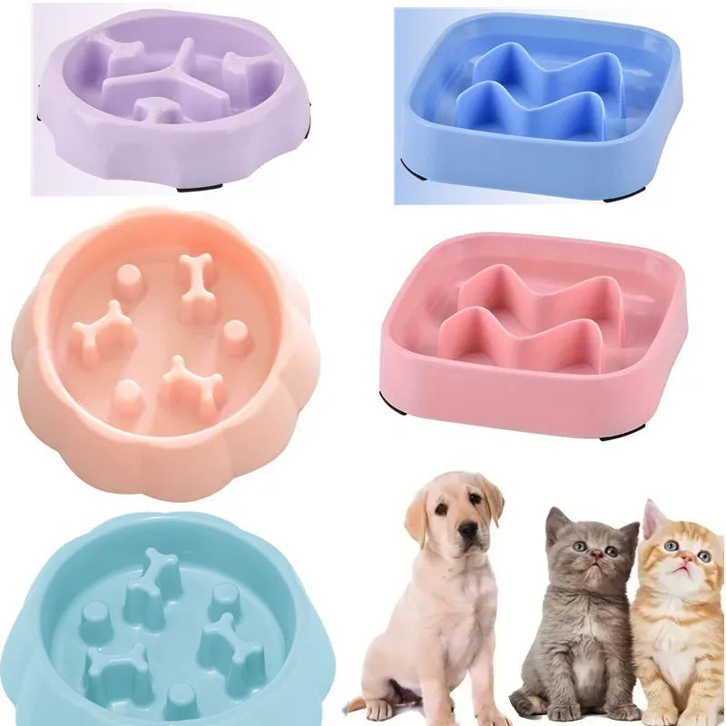 Slow Feeder Pet Bowl – Anti-Choking Food & Water Dish
