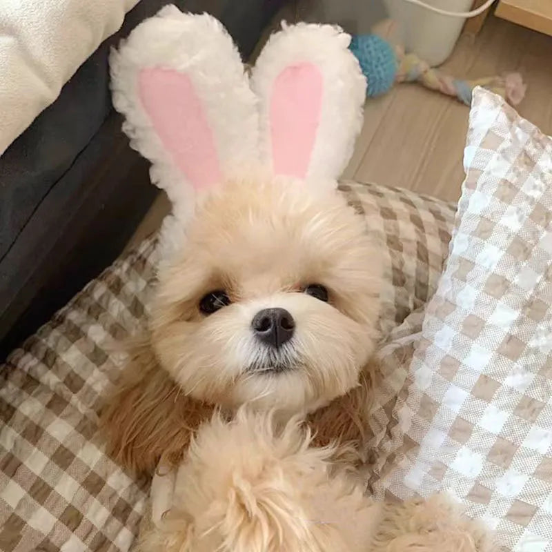 Cozy Critter Ears Pet Hats (Bear and Rabbit)