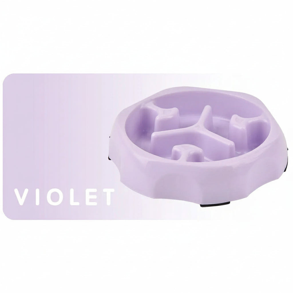 Slow Feeder Pet Bowl – Anti-Choking Food & Water Dish