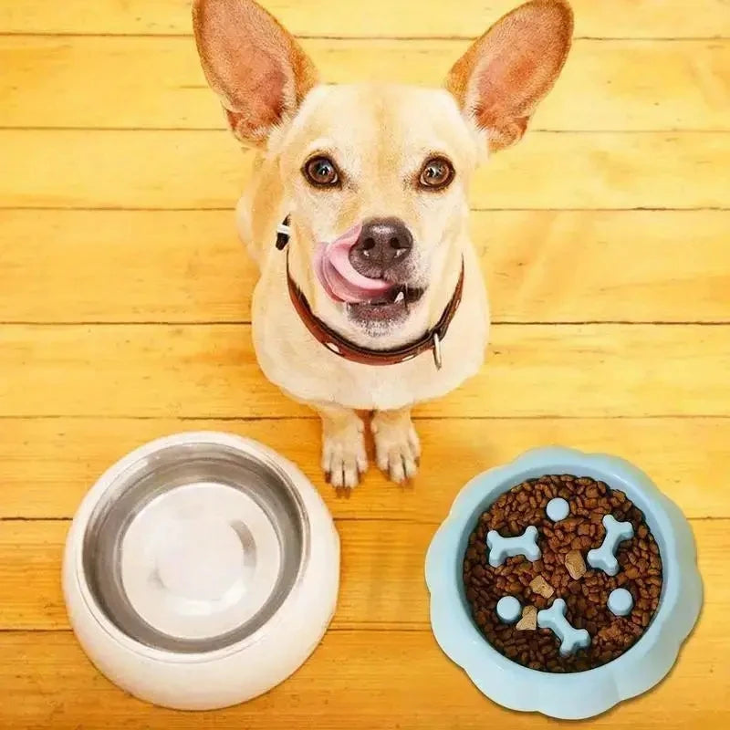 Slow Feeder Pet Bowl – Anti-Choking Food & Water Dish