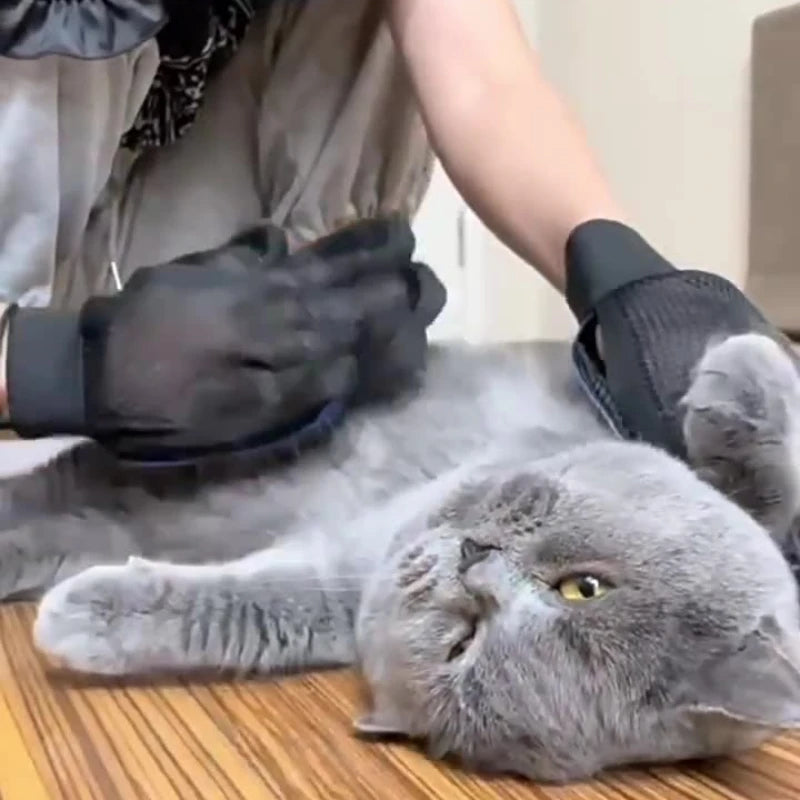 Handy Silicone Pet Grooming Glove