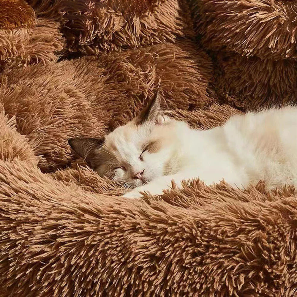Plush Dog & Cat Sofa Bed – Warm, Washable Pet Bed