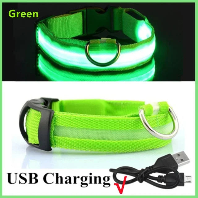 LED Light-Up Dog Collar – USB Rechargeable, Adjustable Safety Glow