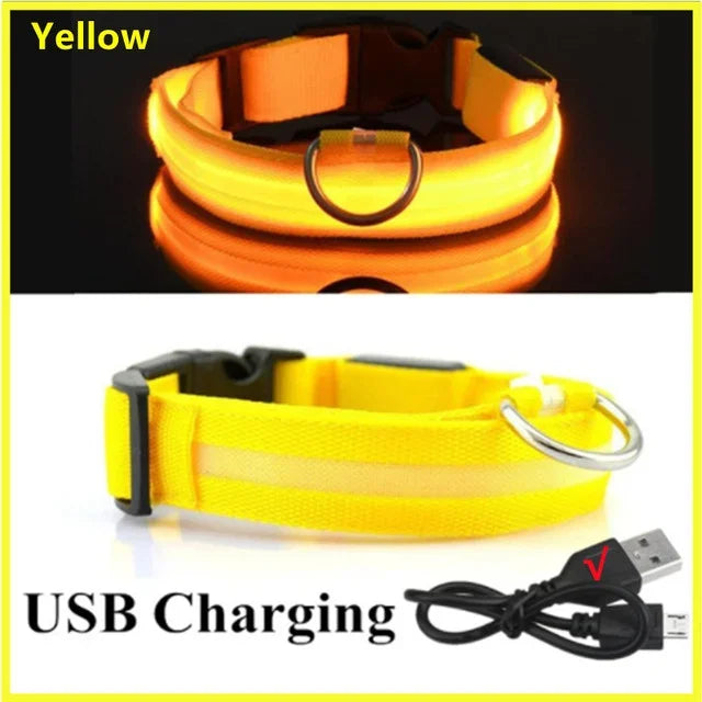 LED Light-Up Dog Collar – USB Rechargeable, Adjustable Safety Glow