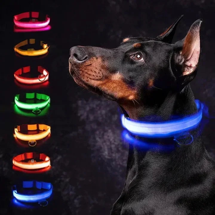 LED Light-Up Dog Collar – USB Rechargeable, Adjustable Safety Glow