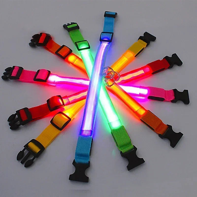 LED Light-Up Dog Collar – USB Rechargeable, Adjustable Safety Glow