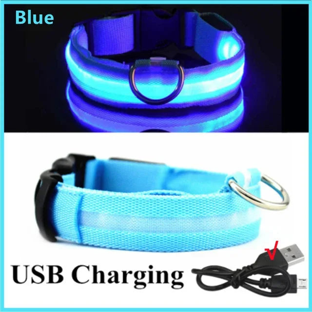 LED Light-Up Dog Collar – USB Rechargeable, Adjustable Safety Glow
