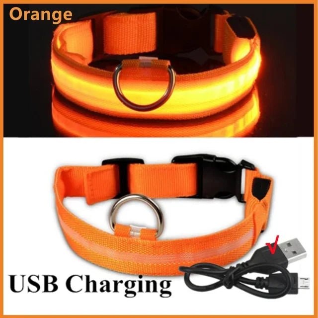 LED Light-Up Dog Collar – USB Rechargeable, Adjustable Safety Glow