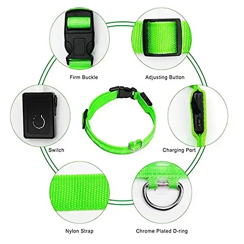 LED Light-Up Dog Collar – USB Rechargeable, Adjustable Safety Glow