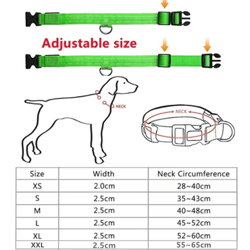 LED Light-Up Dog Collar – USB Rechargeable, Adjustable Safety Glow