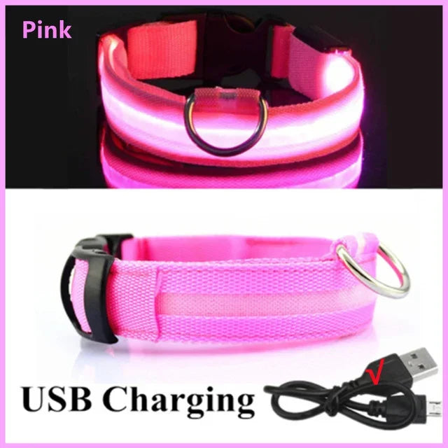 LED Light-Up Dog Collar – USB Rechargeable, Adjustable Safety Glow