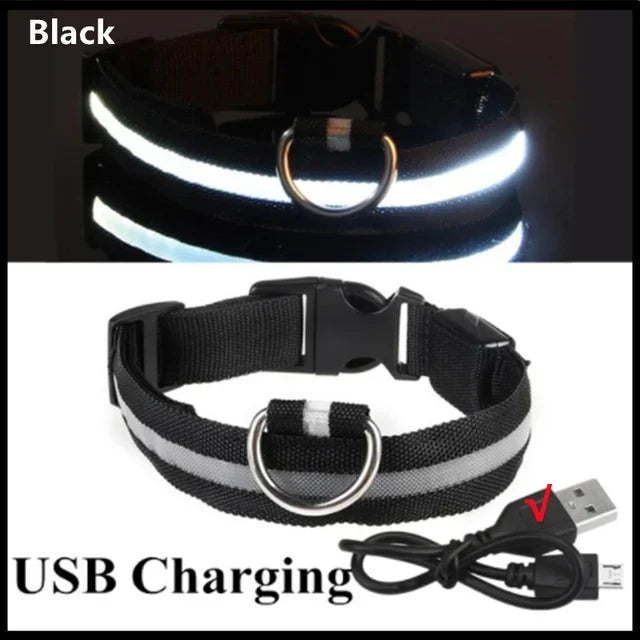 LED Light-Up Dog Collar – USB Rechargeable, Adjustable Safety Glow